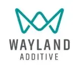 NSSIF Portfolio Wayland min